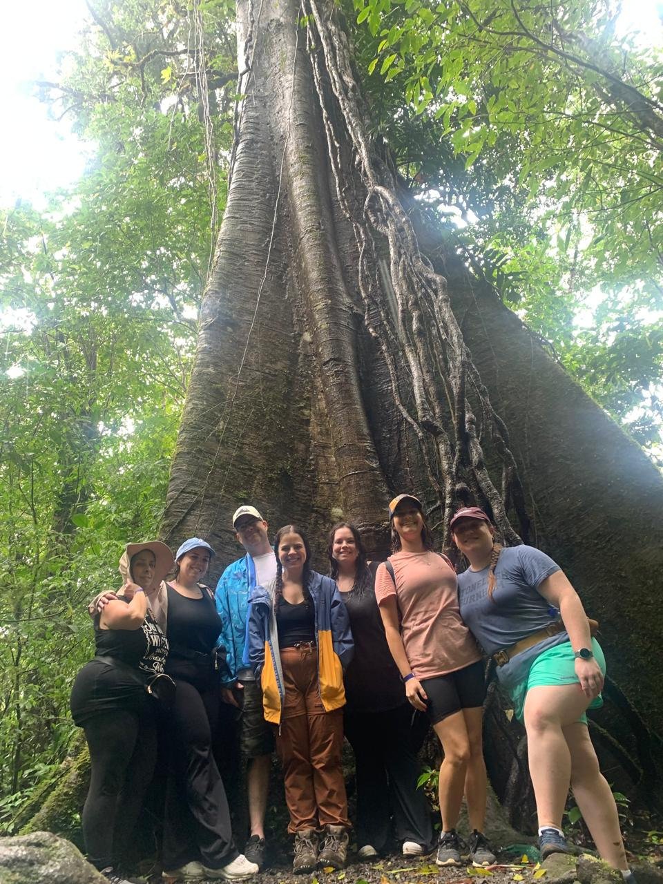 Grupo frente a un árbol gigante