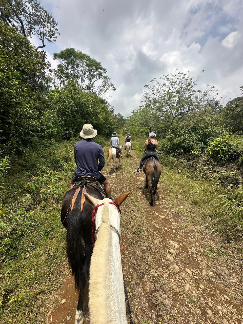 Sendero a caballo